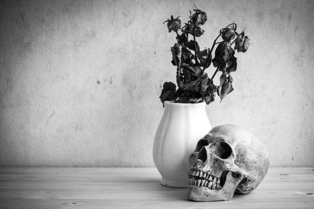 Still life concept with flowers in skull and vase, black and white
