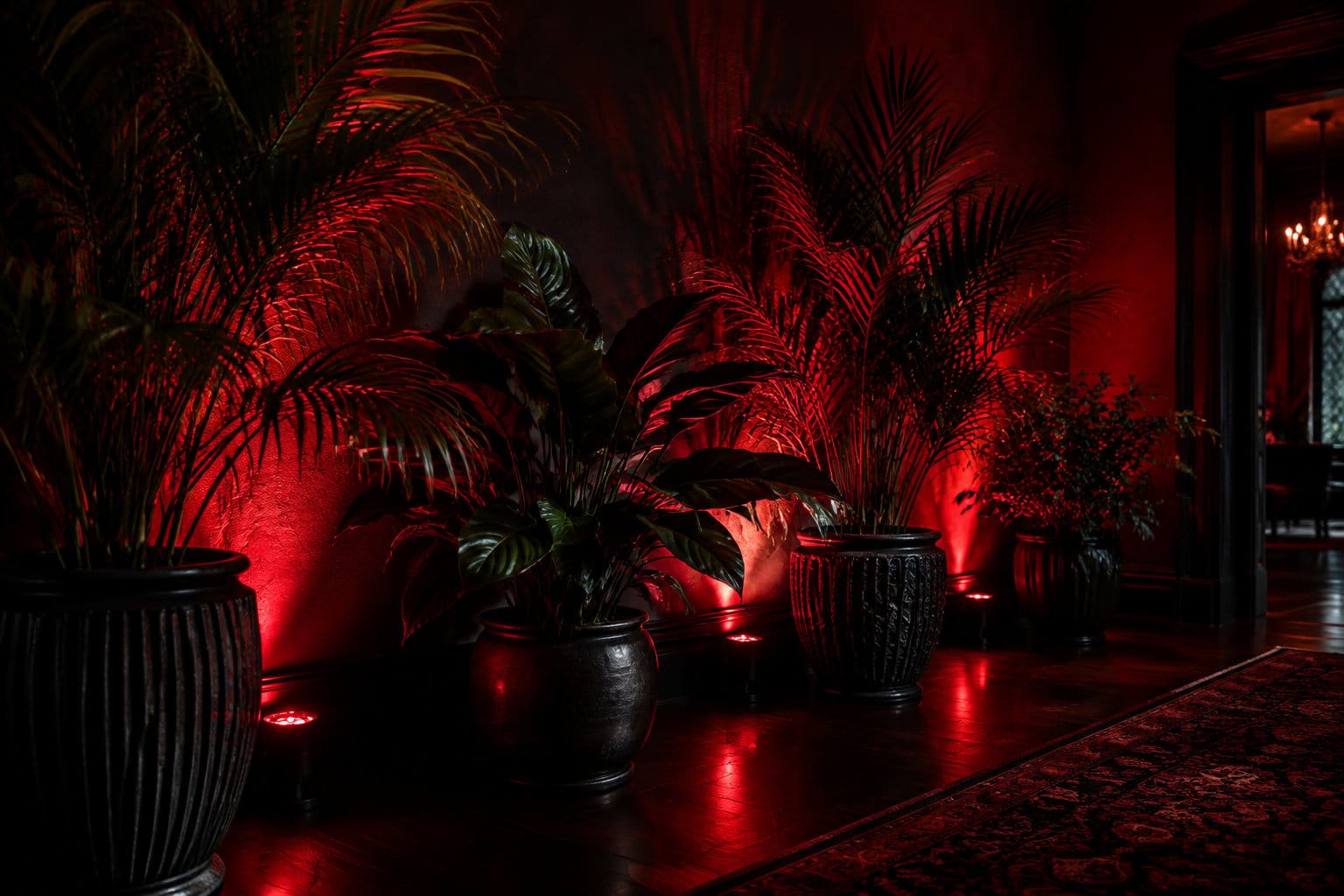 Potted plants illuminated from behind by red lights.